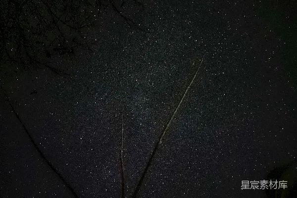 高清摄影 夜空下的树与流星