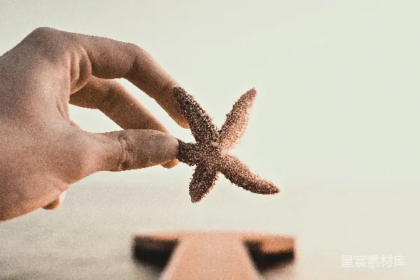 高清摄影 手握海星，海边静谧