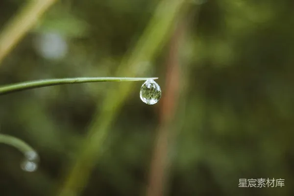高清摄影 一个蜘蛛的特写镜头