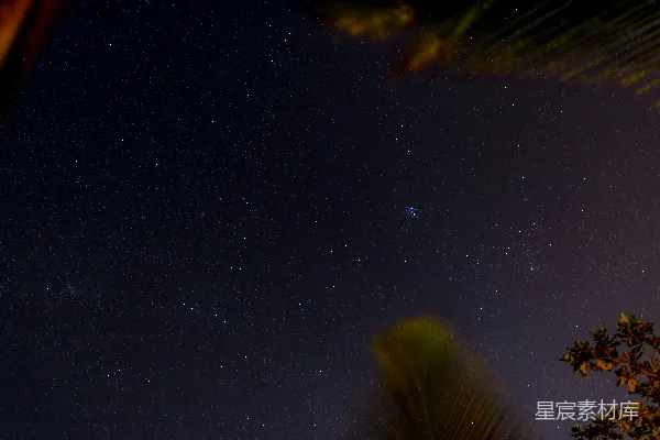 高清摄影 夜空下的热带星景