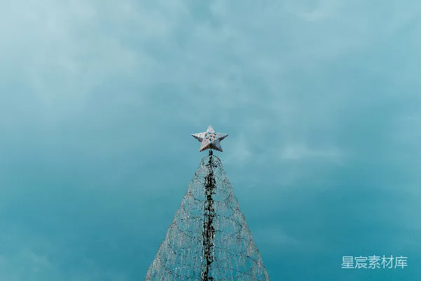 高清摄影 圣诞树下的星