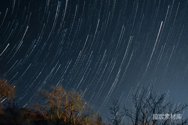 高清摄影 星轨与树影下的夜空