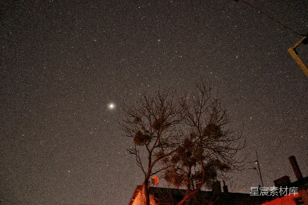 高清摄影 星空下的树