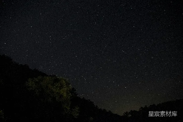 高清摄影 夜空下的森林