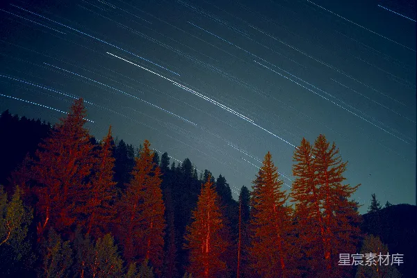 高清摄影 星轨与森林的静谧夜晚