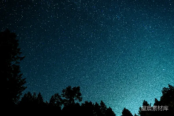 高清摄影 夜幕下的森林与星空