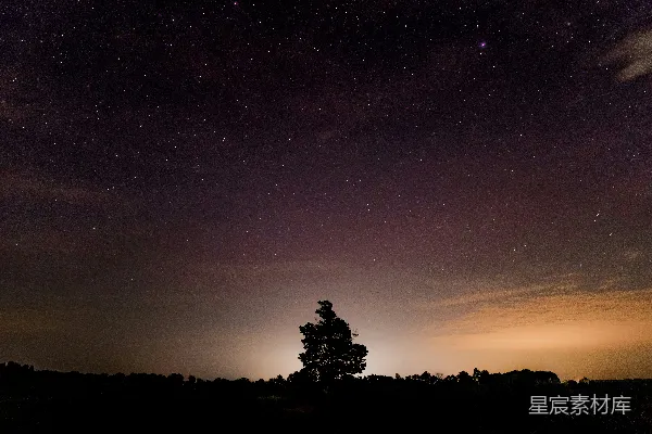 高清摄影 星空下的孤独树