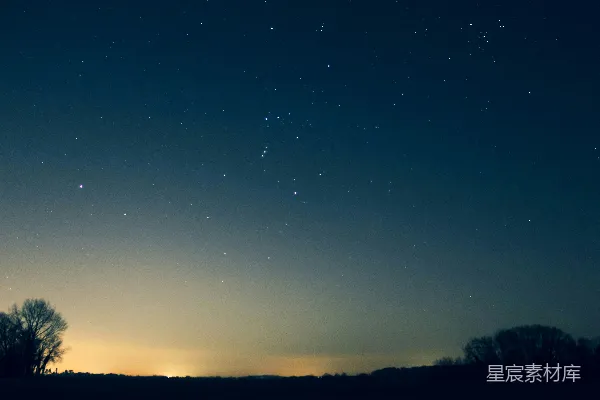高清摄影 夜空中的星光与树影