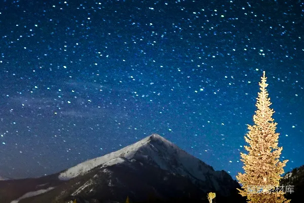 高清摄影 夜空下的雪山与松树
