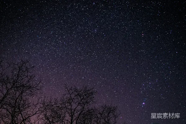 高清摄影 星空下的静谧夜晚