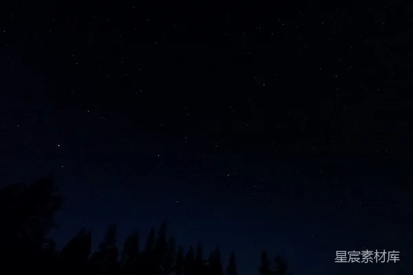 高清摄影 夜幕下的森林