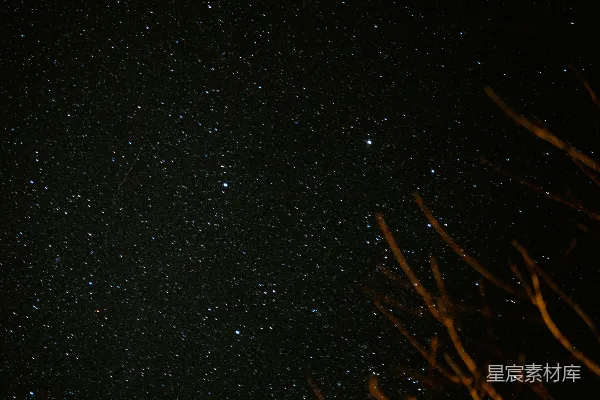 高清摄影 静谧的星空与枯枝