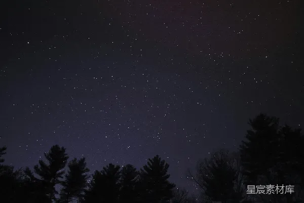 高清摄影 夜空中的繁星与森林剪影