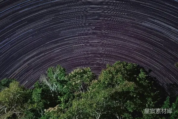 高清摄影 星轨与森林