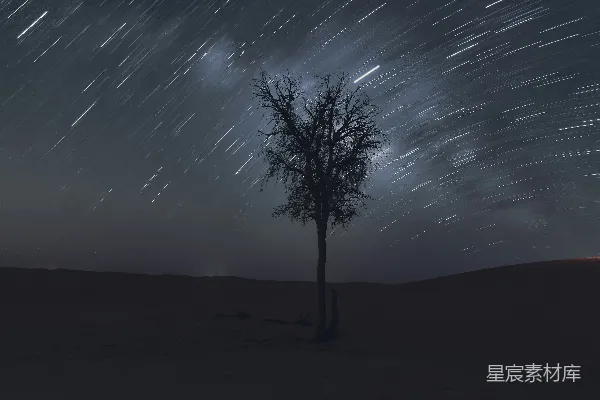 高清摄影 沙漠中的树与星轨