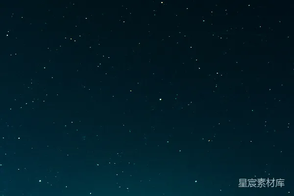 高清摄影 夜空下的树影