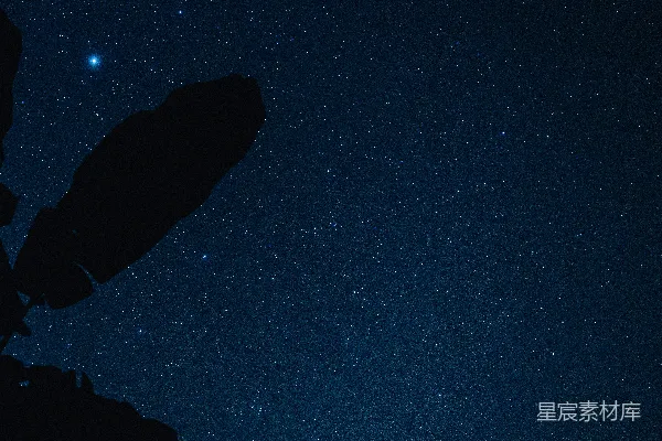 高清摄影 夜空下的剪影