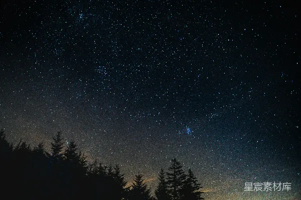 高清摄影 夜空下的森林