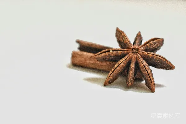 高清摄影 桂皮与八角的组合