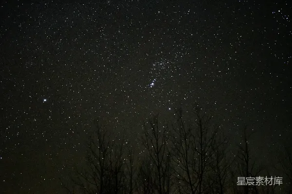 高清摄影 夜空下的繁星