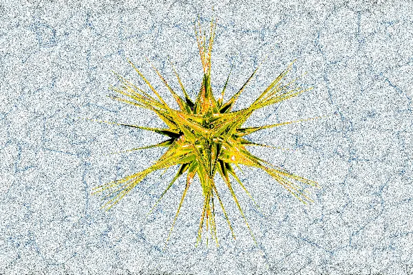 高清摄影 发光的星状结构
