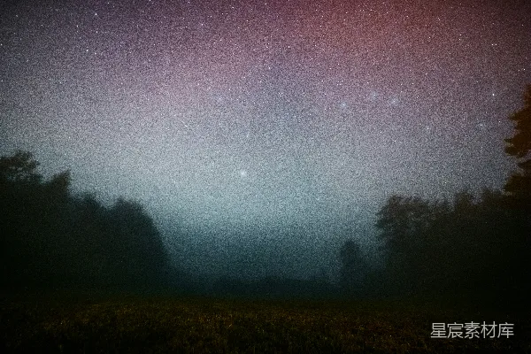 高清摄影 夜幕下的宁静森林