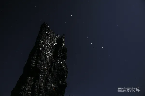 高清摄影 夜空下的枯树