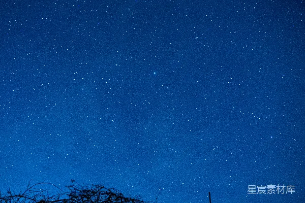 高清摄影 夜空下的铁丝网