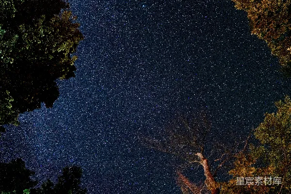 高清摄影 夜空下的星河