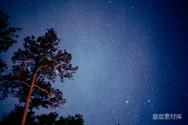 高清摄影 夜空中最亮的星