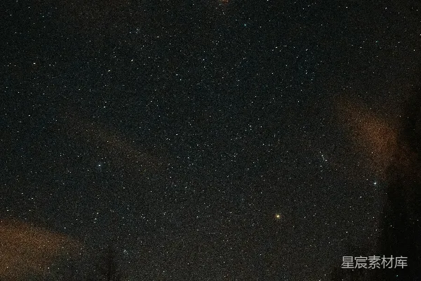 高清摄影 夜空下的星辰与树影