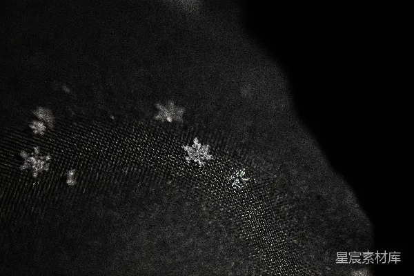 高清摄影 黑底银雪花