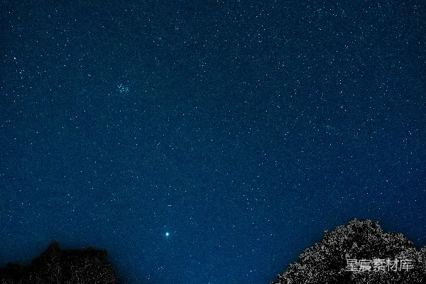 高清摄影 夜空下的森林