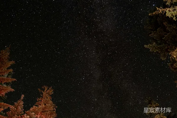 高清摄影 夜空中闪烁的星星