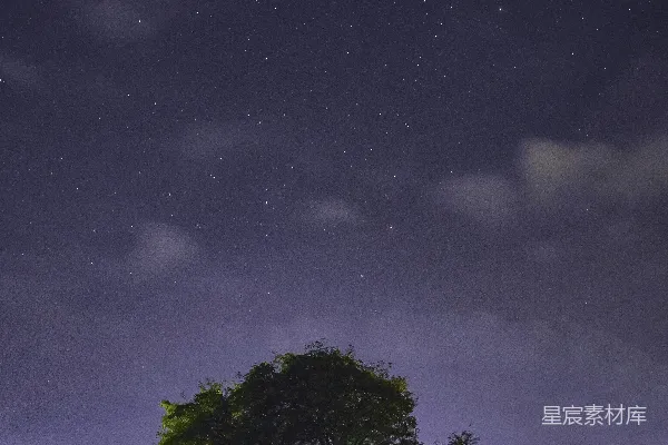 高清摄影 夜晚星空下的大树
