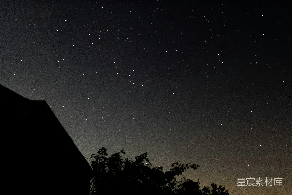 高清摄影 夜空下的星星与树影