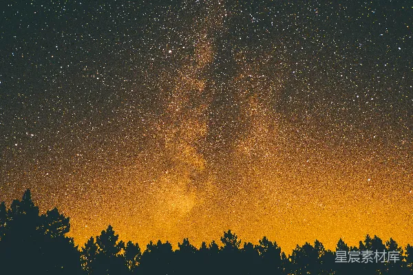 高清摄影 银河璀璨夜空下的森林剪影