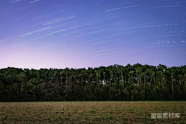 高清摄影 夜空下的森林星轨
