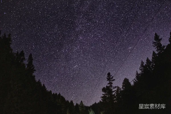 高清摄影 星空下的森林