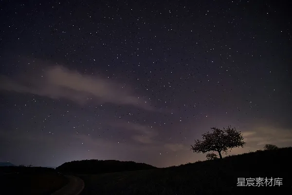 高清摄影 星夜下的孤独树