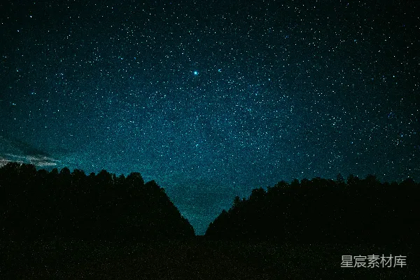 高清摄影 星空下的森林剪影