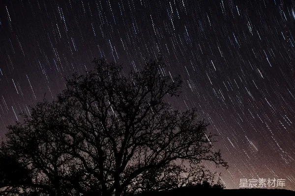 高清摄影 星轨与孤树：夜晚的静谧之美