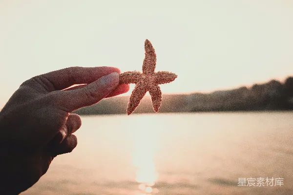 高清摄影 夕阳下手捧海星
