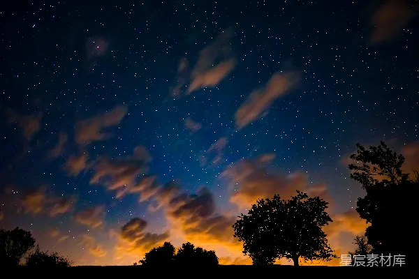 高清摄影 夜空下的树影与星星