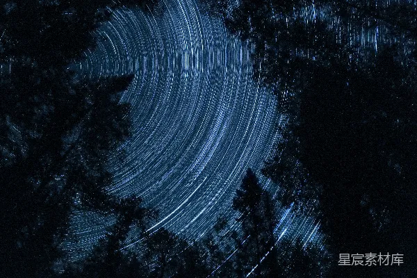 高清摄影 星轨与夜色下的森林
