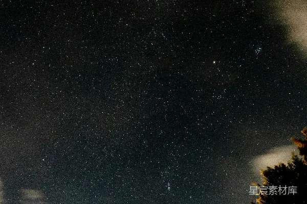高清摄影 夜空下的森林