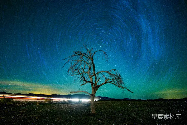 高清摄影 夜空下的孤独树