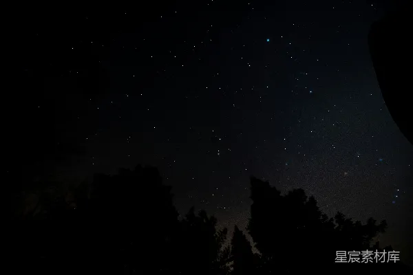 高清摄影 星空下的树梢剪影