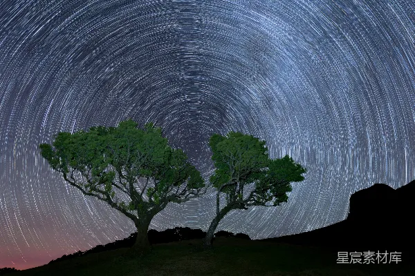 高清摄影 星轨下的树