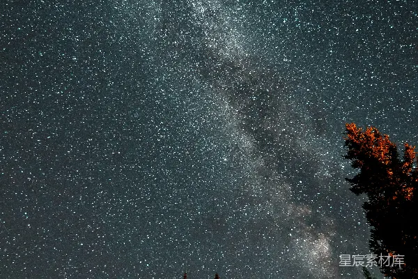 高清摄影 璀璨星河与森林的夜晚